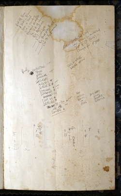 scan